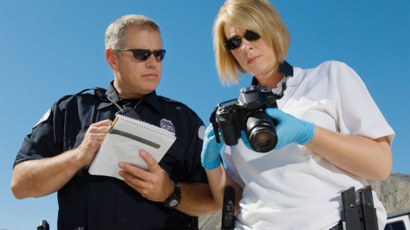document cameras